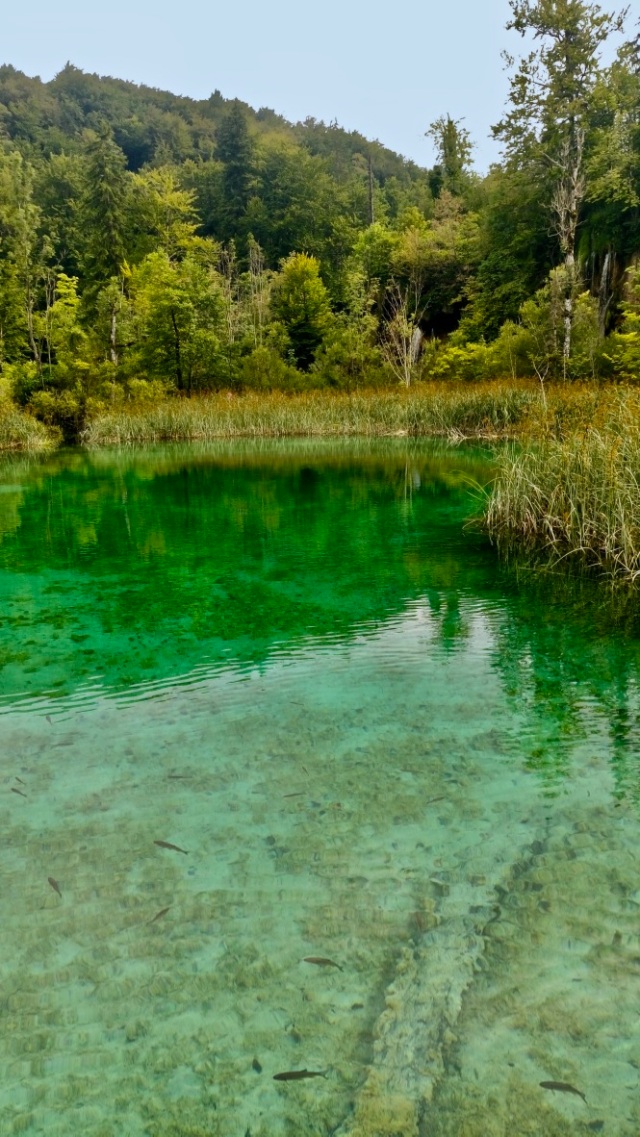 parco nazionale dei laghi di plitvice in croazia