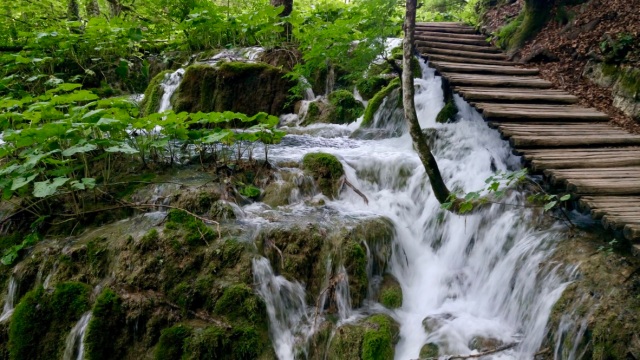 sentiero nel parco dei laghi di plitvice in croazia